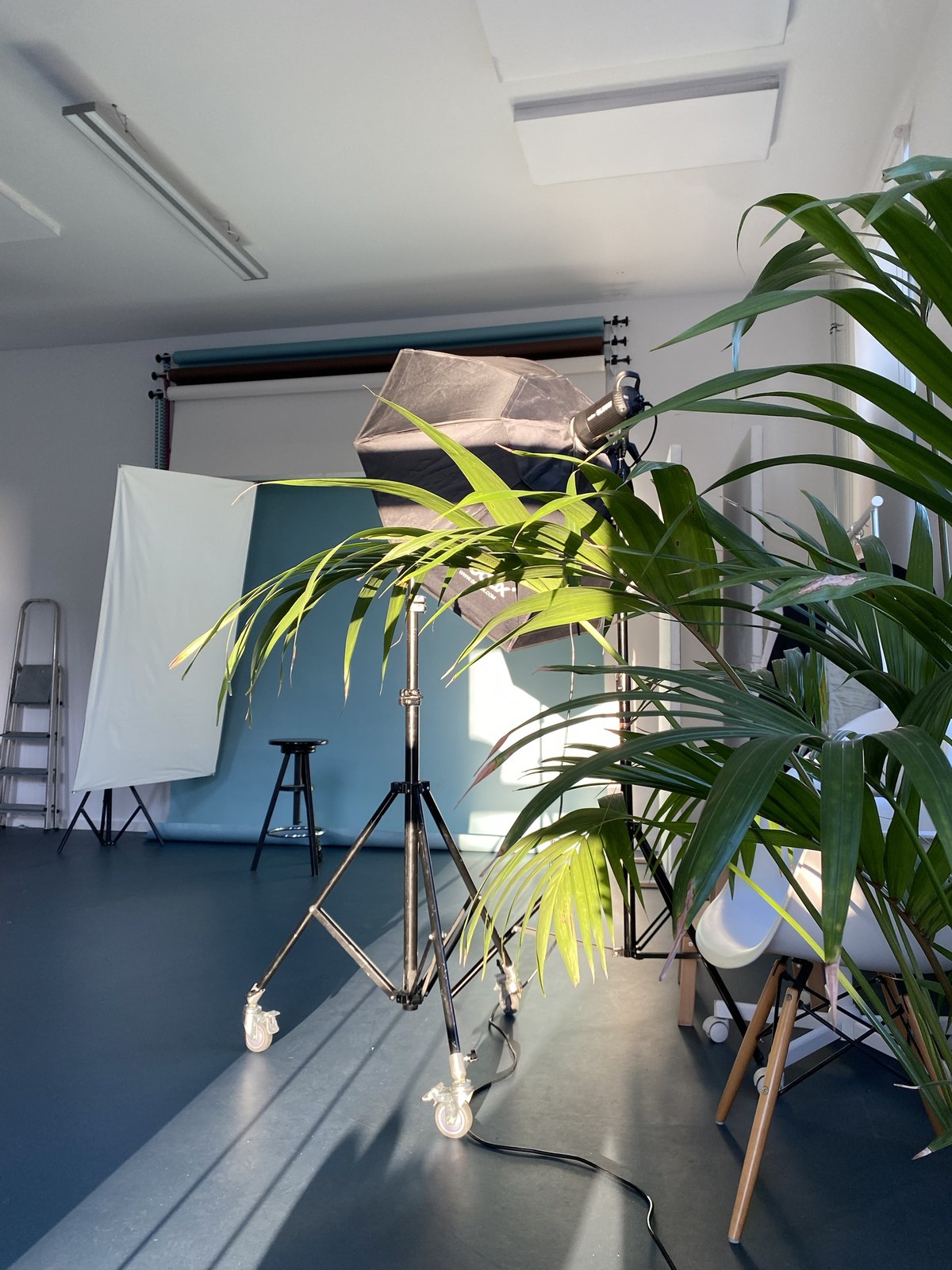 The studio at Eberswalder Straße